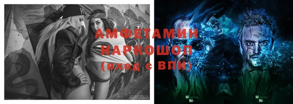 СК Вязьма