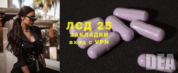 СК Вязьма