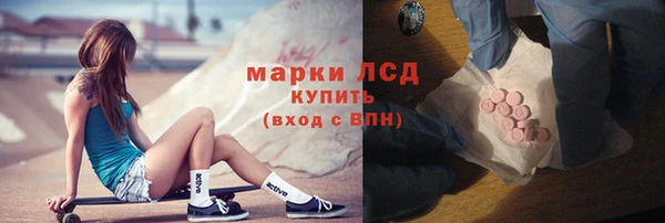СК Вязьма