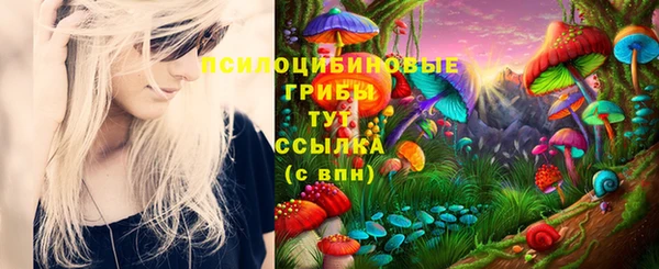 марки lsd Вяземский