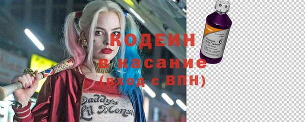 СК Вязьма