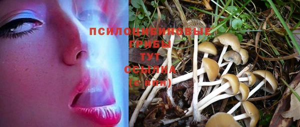 молекула духа Вязники