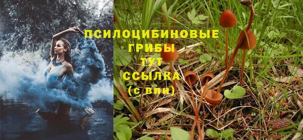 СК Вязьма