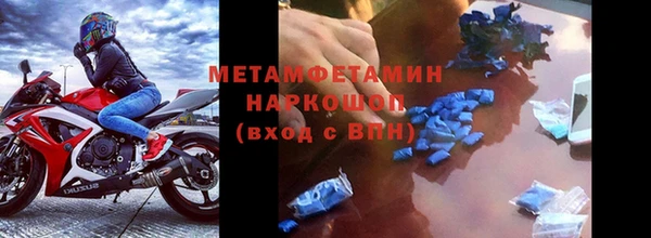 СК Вязьма