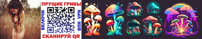 Купить  Нарткала  Псилоцибиновые грибы MAGIC MUSHROOMS 